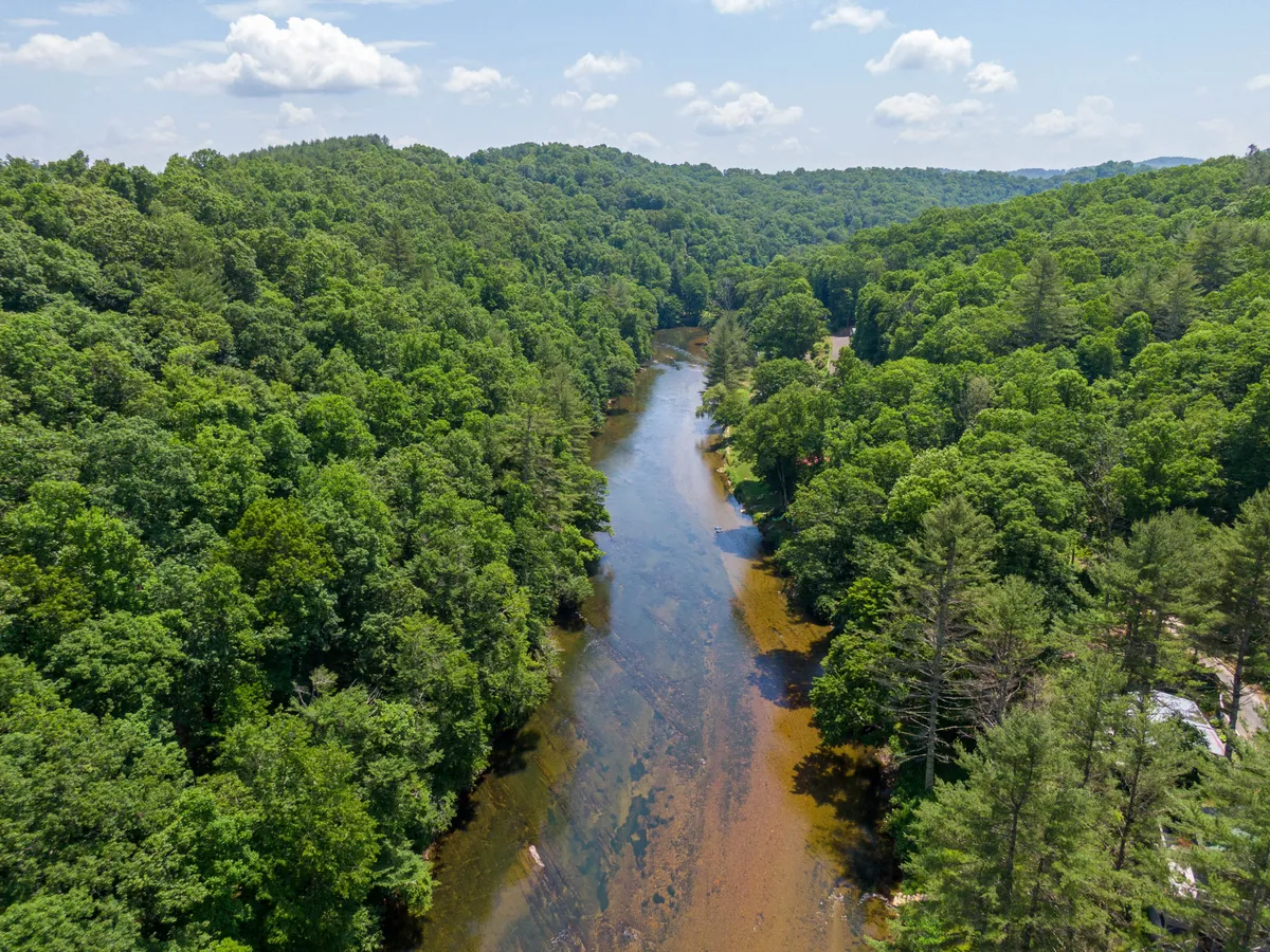 A sweeping river scene unfolds, with the winding waterway bordered by lush green trees and distant hills. The mood is peaceful and serene, perfect for spotting local wildlife or enjoying the natural beauty at sunrise or sunset.