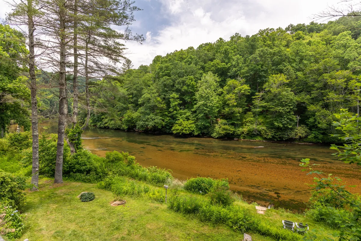 A peaceful view of the New River winding through dense greenery and tall trees. The riverbank is lush and accessible, ideal for walks, playtime, and connecting with the natural environment. The tranquil mood underlines the outdoor lifestyle described in the section.