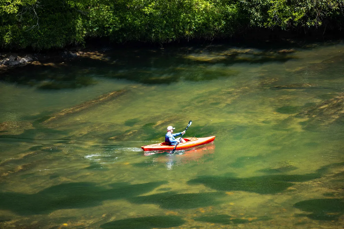 A close-up scene of a person kayaking on calm river water, surrounded by lush green trees. The focus is on the kayaker gliding serenely across the water, emphasizing active adventure and immersion in nature.